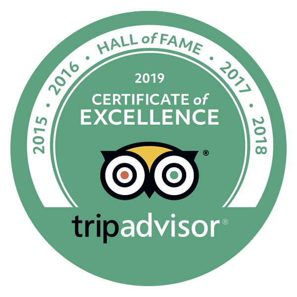 Trip Advisor Logo