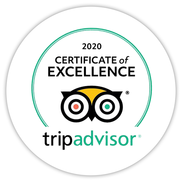 Trip Advisor Logo