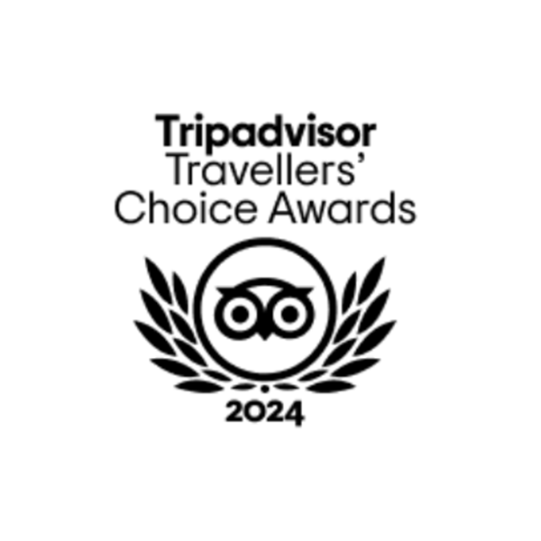 Trip Advisor Logo